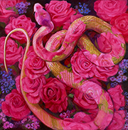 薔薇色の蛇　１０S　sold out